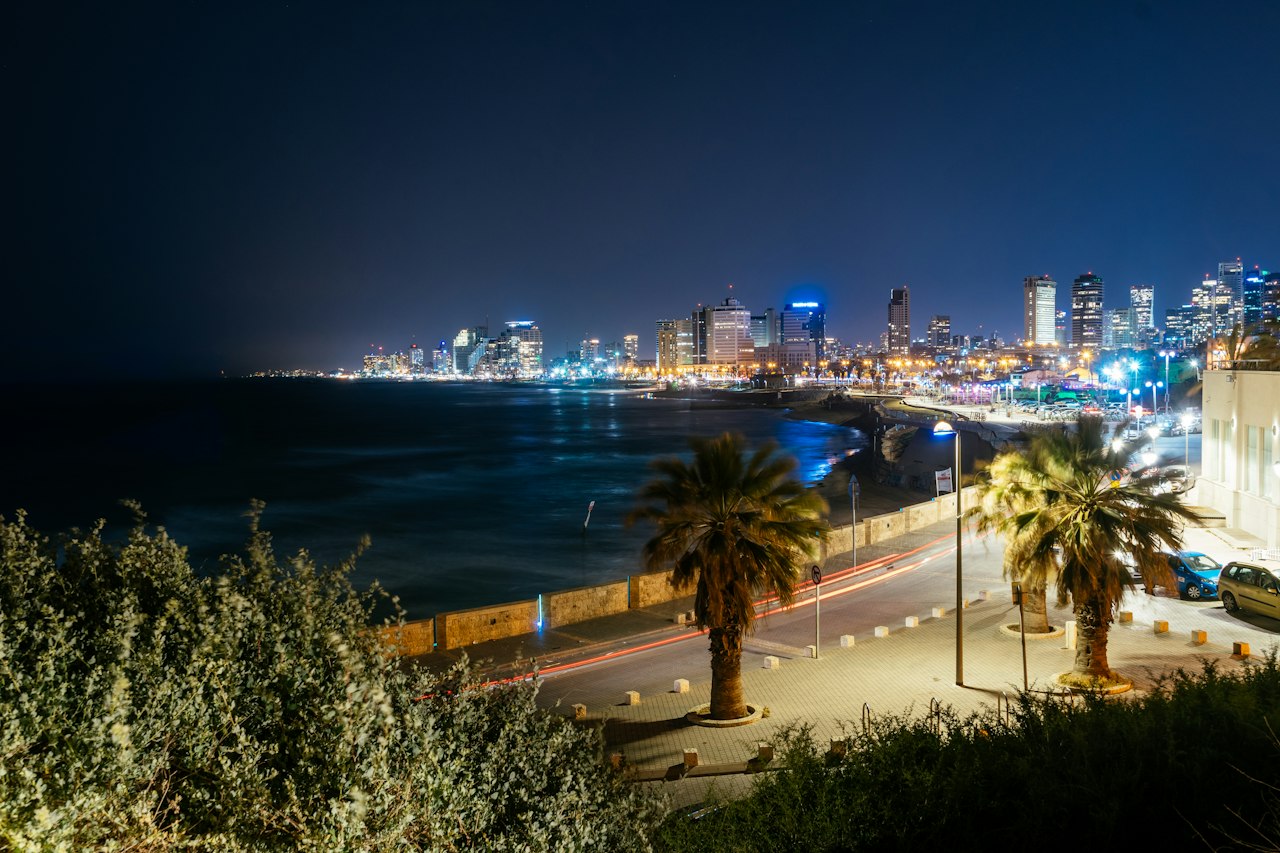 The Tel Aviv skyline along the coast at night, seen from Jaffa with palms in the foreground