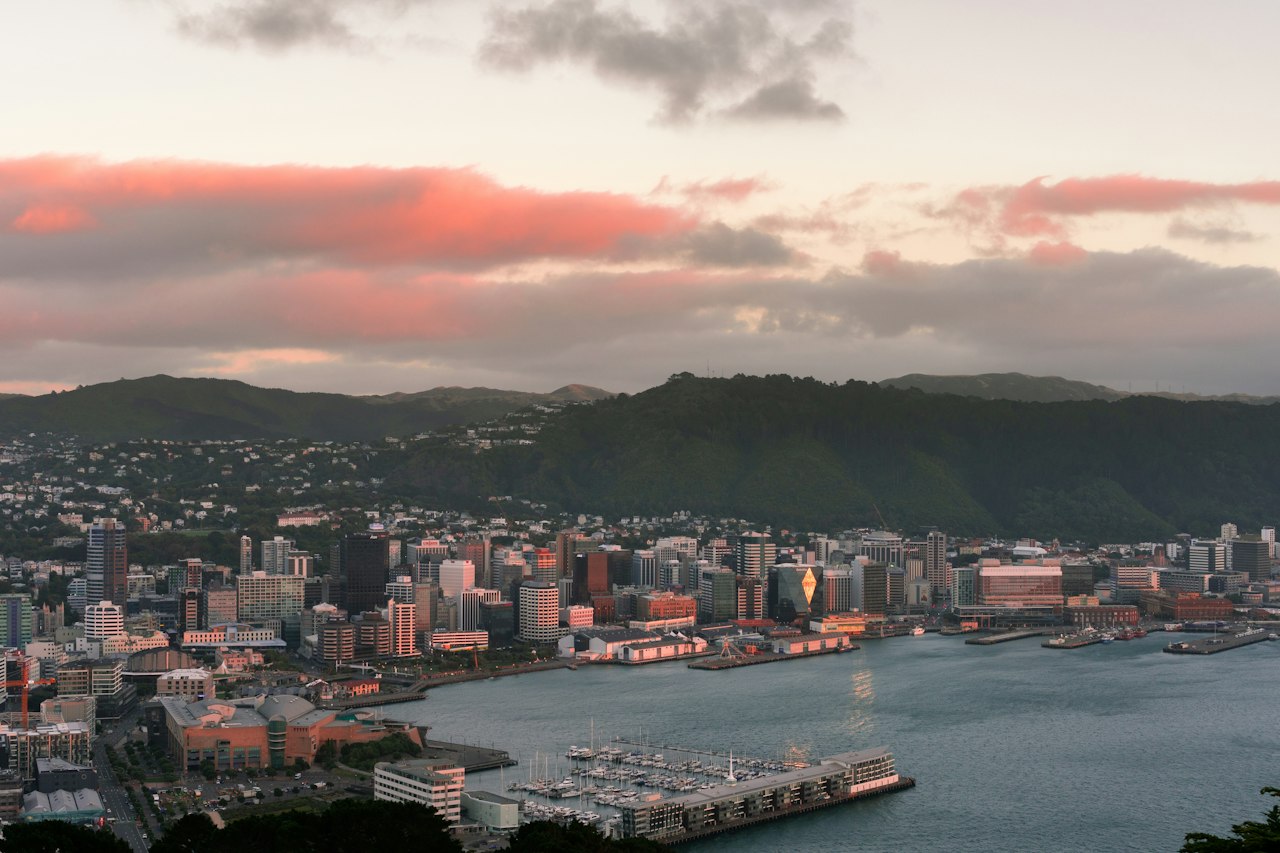 Wellington's harbour and city centre in soft low light